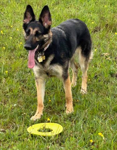 Connie likes playing Frisbee in the park