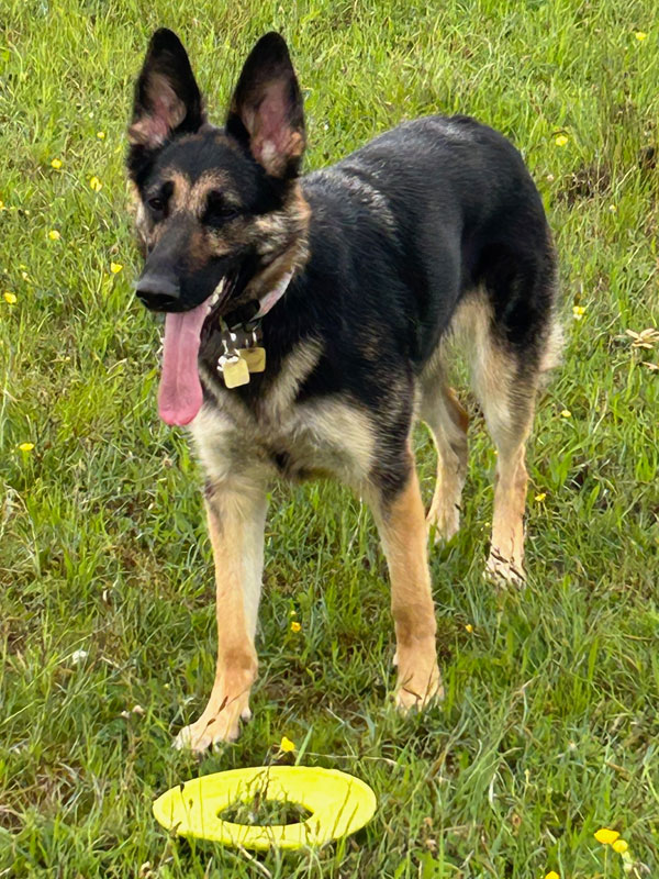 Connie likes playing Frisbee in the park