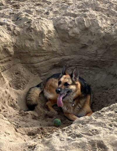Chilling in a huge whole in the sand September 2022