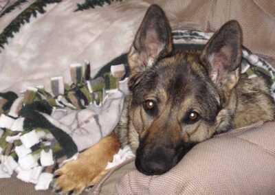 Faith in her chair under her blanket watching dad